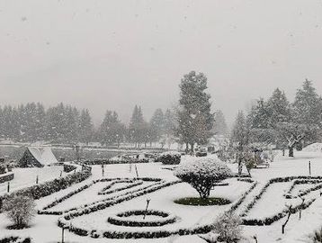 Snow-covered garden and lake with trees in winter.