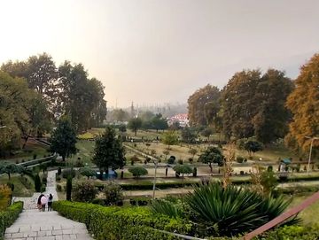 Stone steps leading down to a scenic, tree-filled park at sunset.