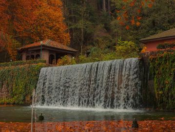 A serene waterfall surrounded by vibrant autumn foliage and fallen leaves in a peaceful forest.
