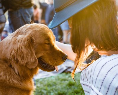 Man's best friend. Protect them like you love them.