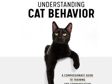 Understanding Cat Behavior by Beth pasek book