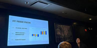 Presentation slide on CFDT program structure with a speaker in a dimly lit room.