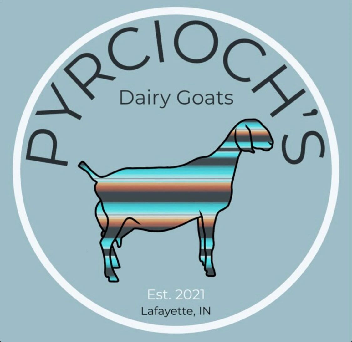 Breeding Plans Pyrcioch Dairy goats and farm