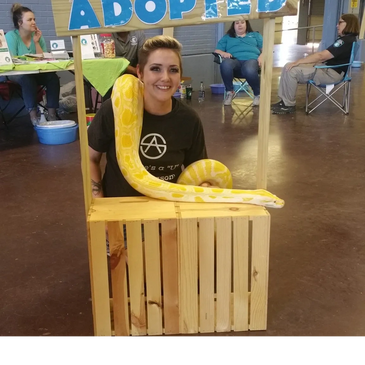 Brittney and the famous Betty White, an albino burmese python