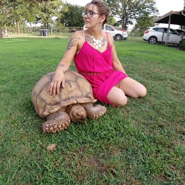 Brittney with Frank the Giant Sulcatta Tortoise