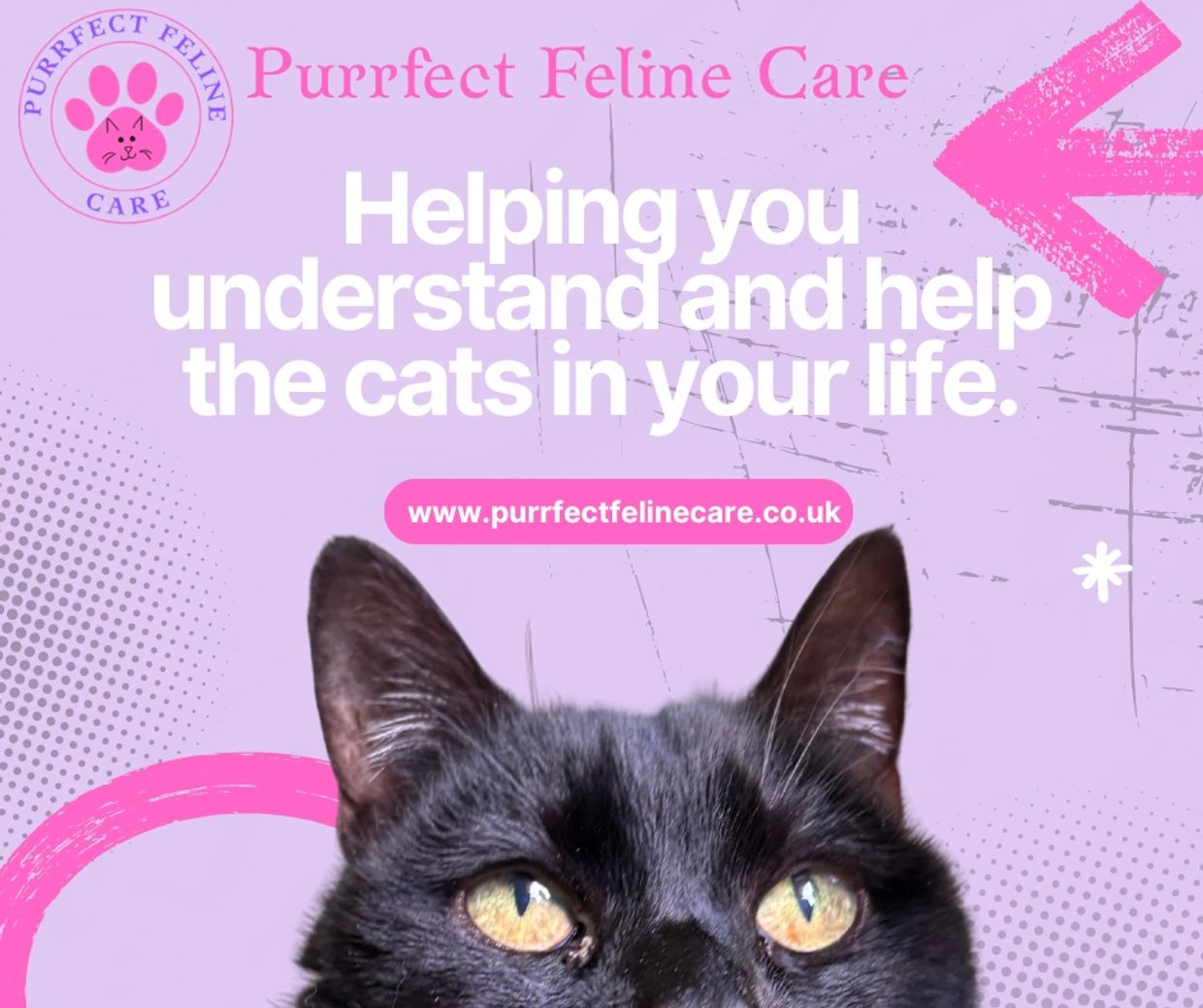 Purrfect Feline Care helps you understand and support cats in your life.