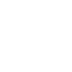 The Young Experiment