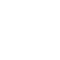 The Young Experiment