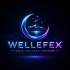 wellefex.com