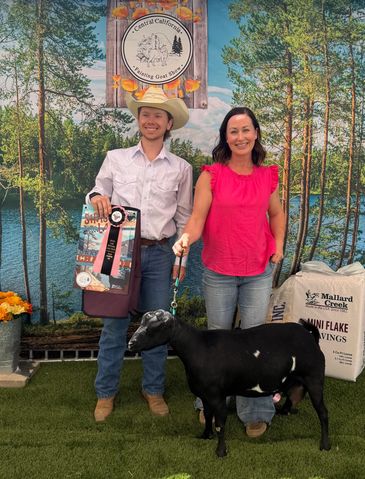 Two people posing with a black goat at a Central California goat show.