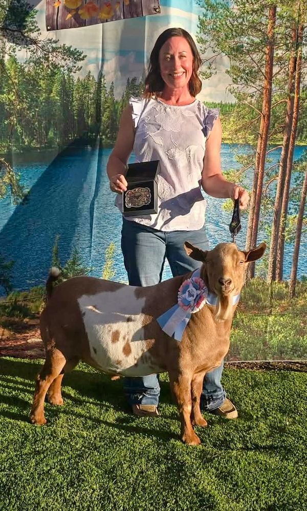 Woman proudly holds award with her prize-winning goat adorned with ribbons.