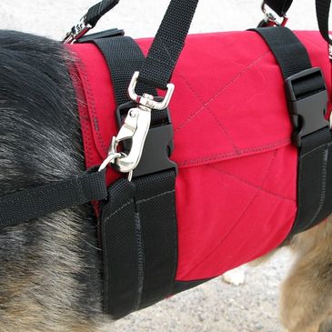 Support Suits wrap around a dogs torso, providing sturdy lift & support for helping a dog on stairs