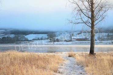 08. Sol, tåke og et tynt lag med snø nede ved elven.