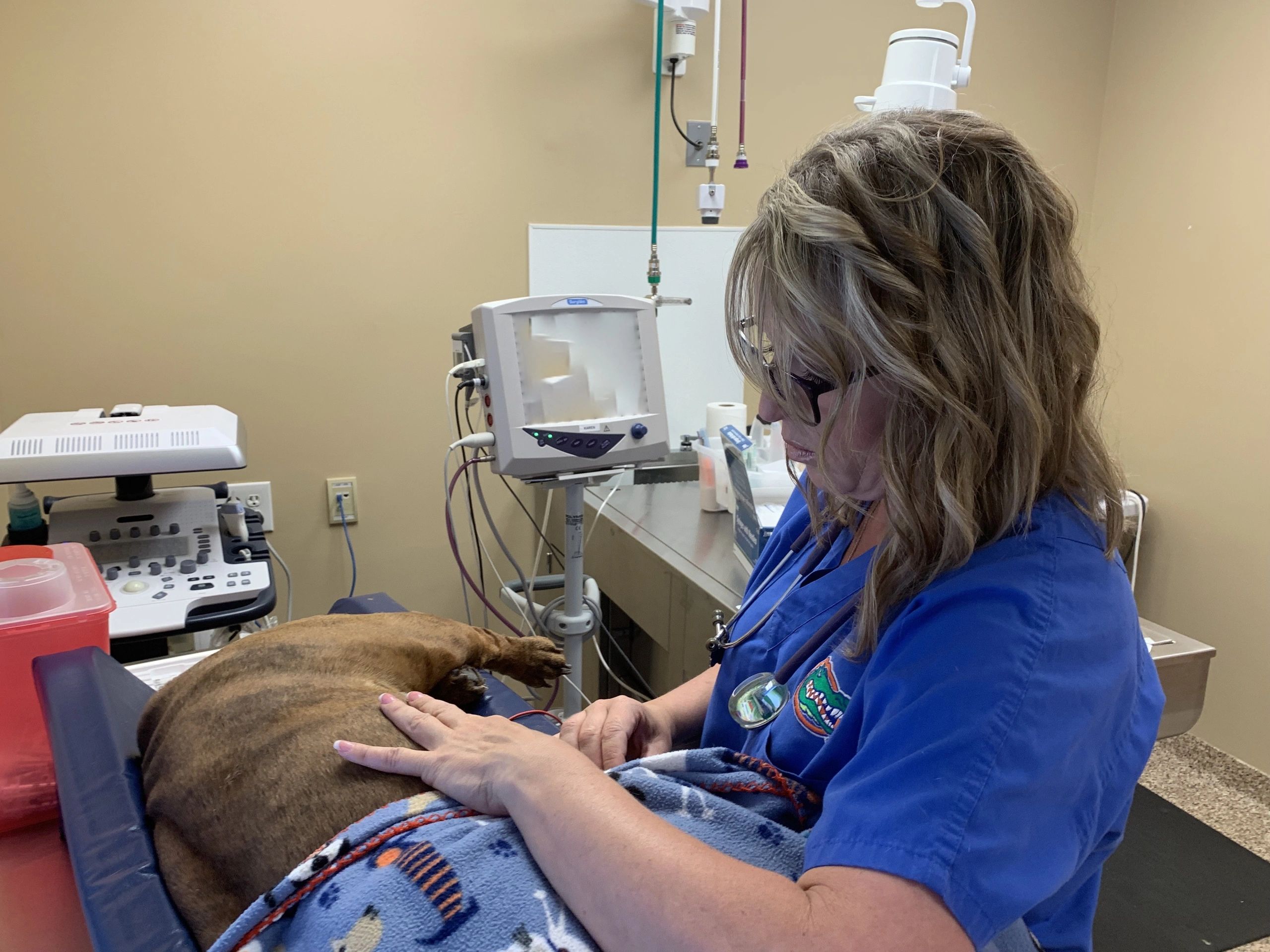 Animal Allergies Fur Kids Allergy & Dermatology