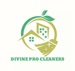 Divine Pro Cleaners