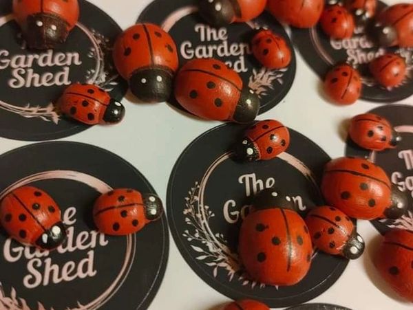Ladybirds, the Garden Shed,