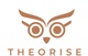Theorise Ltd