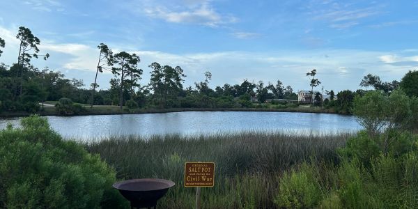 Peaceful lakeside view with trees and sign.
