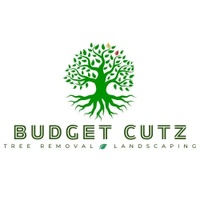 www.budgetcutz.org