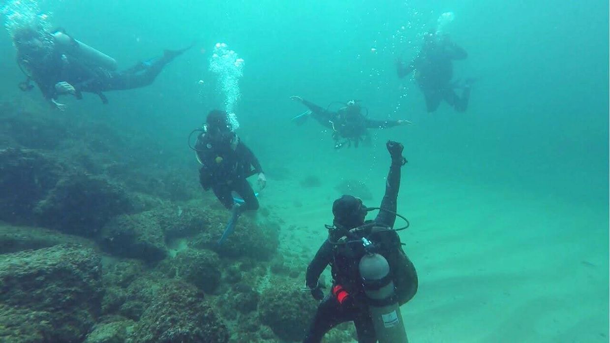 scuba diving Puerto Vallarta

diving Puerto Vallarta

dive center Puerto Vallarta

snorkeling Puerto Vallarta

Los Arcos diving