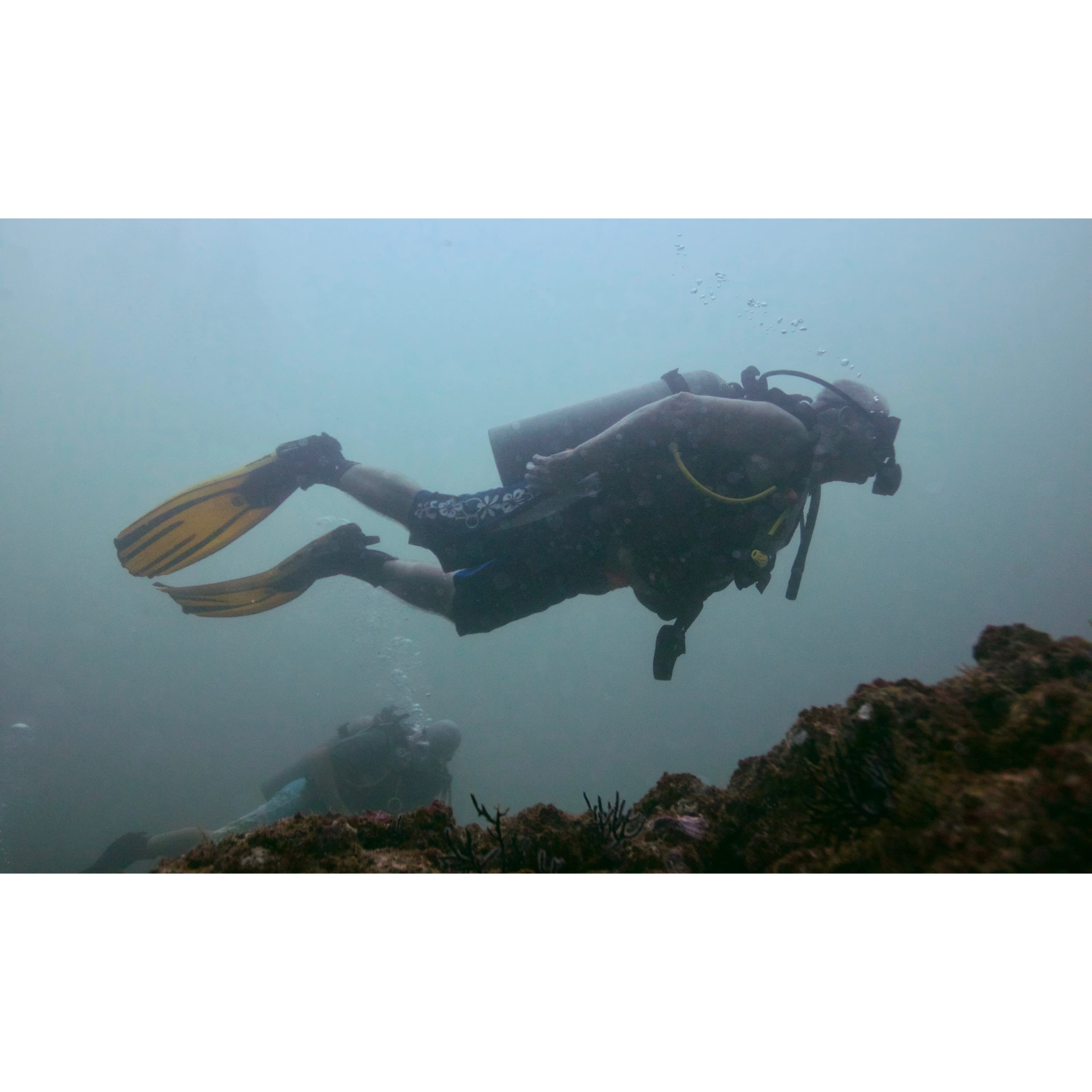 Buceo 