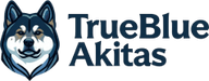 TrueBlue Akitas