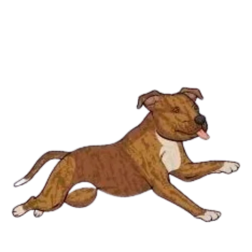 Mobile Dog Gym Dog Dash Xpress