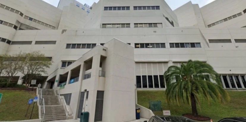 Large white modern building with stairs and palm tree outside.