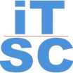IT Strategy Consultants