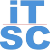 IT Strategy Consultants