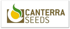 Canterra Seeds