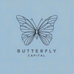 butterflycapital.co.uk