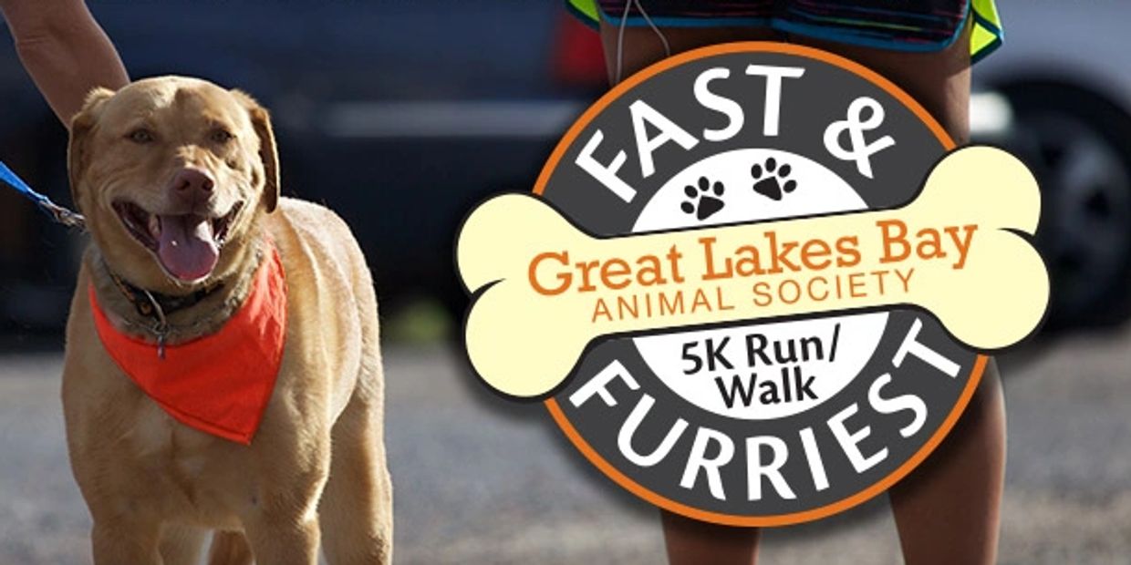 Dog with a red bandana participating in Great Lakes Bay Animal Society 5K Run/Walk event.