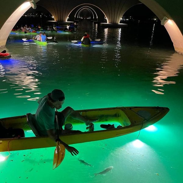 Glass bottom kayak at night with led nights with one rider touching fish www.whatsuppaddlesports.com