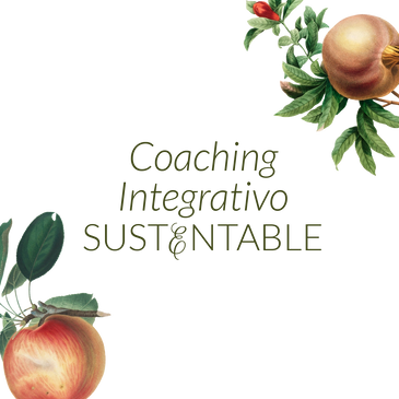 Coaching Integrativo Sustentable CIS