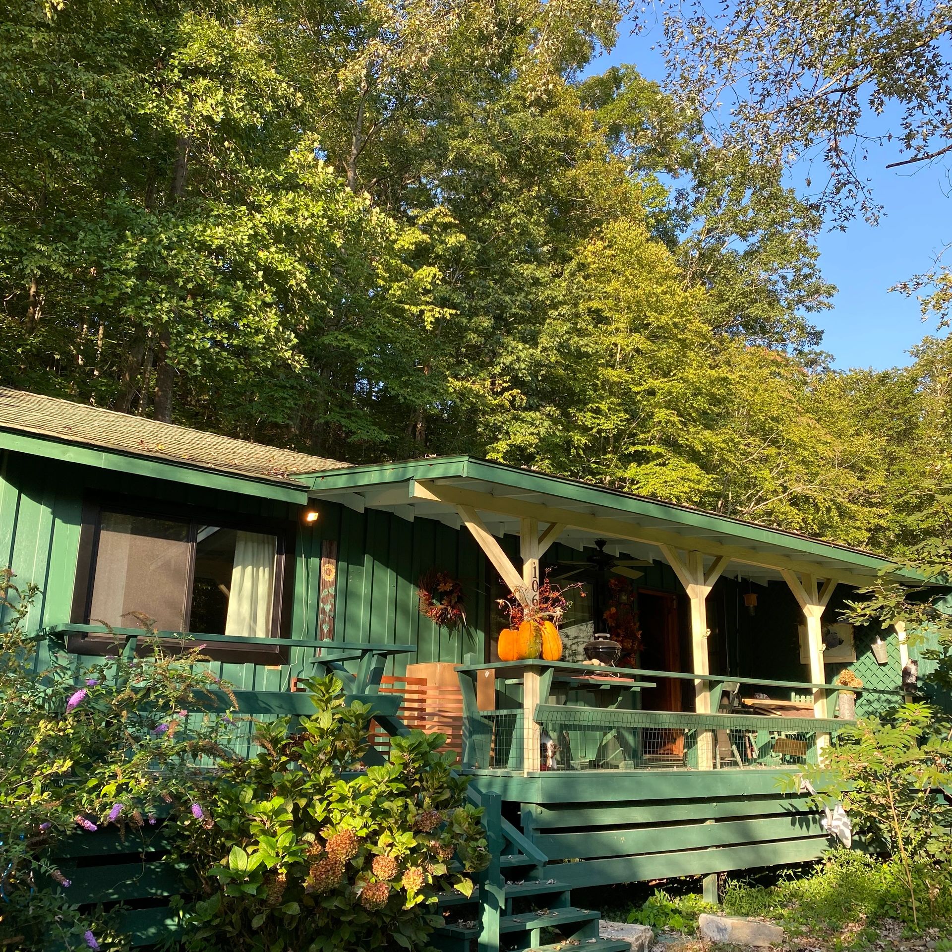 Fall Exterior of Cabin59