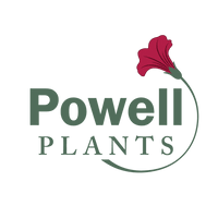 Powell Plants