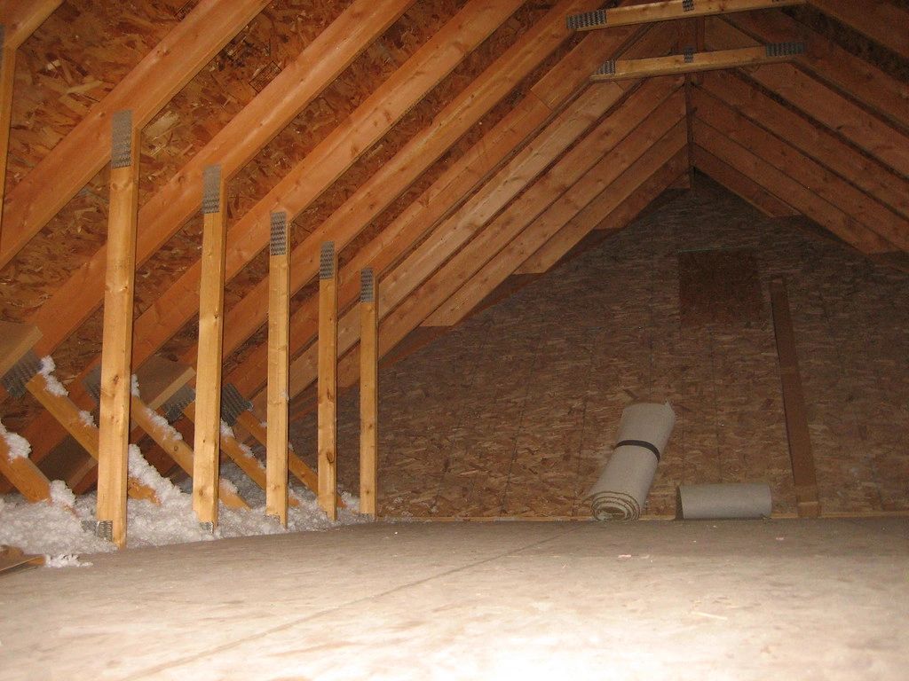 Scratching Sounds in the Attic or Walls - Animals
