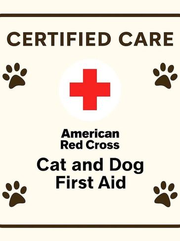 Heidi is first aid certified at Dog Moms Inn St. Petersburg