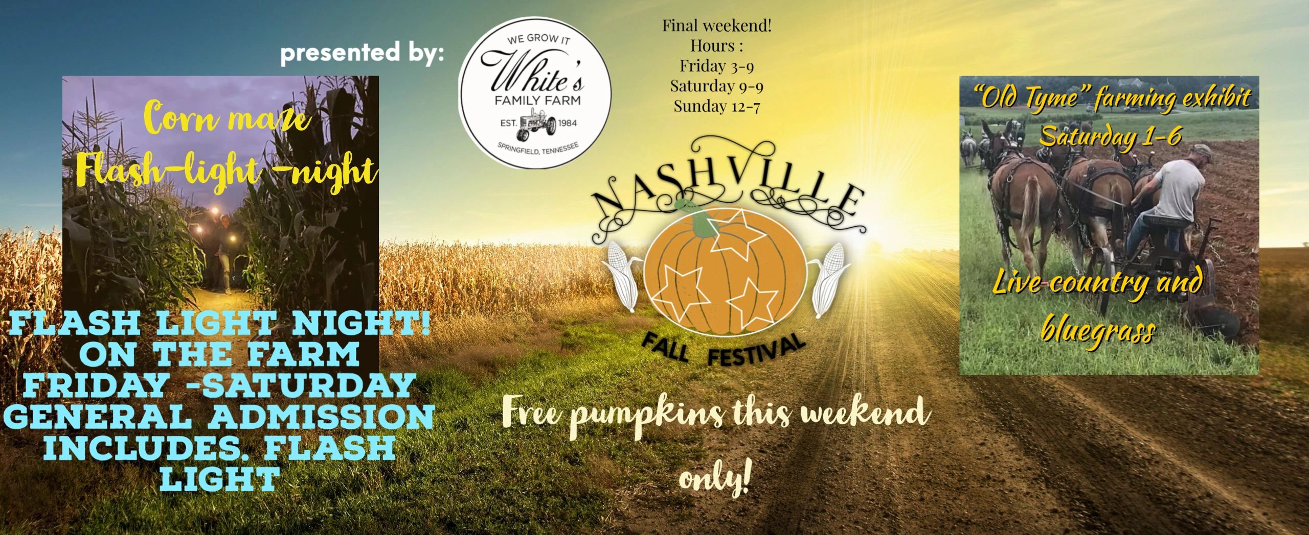 Nashville Fall Festival Cornmaze, Festival, Pumpkin Picking