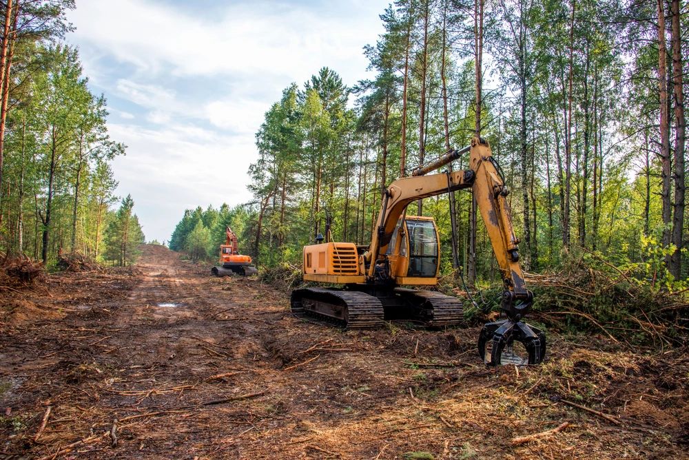 How to Choose the Right Land Clearing Company