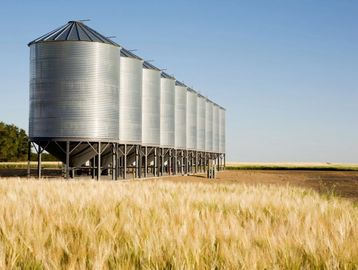 Metal grain silos standing in a wheat field.