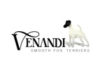 Venandi Smooth Fox Terriers