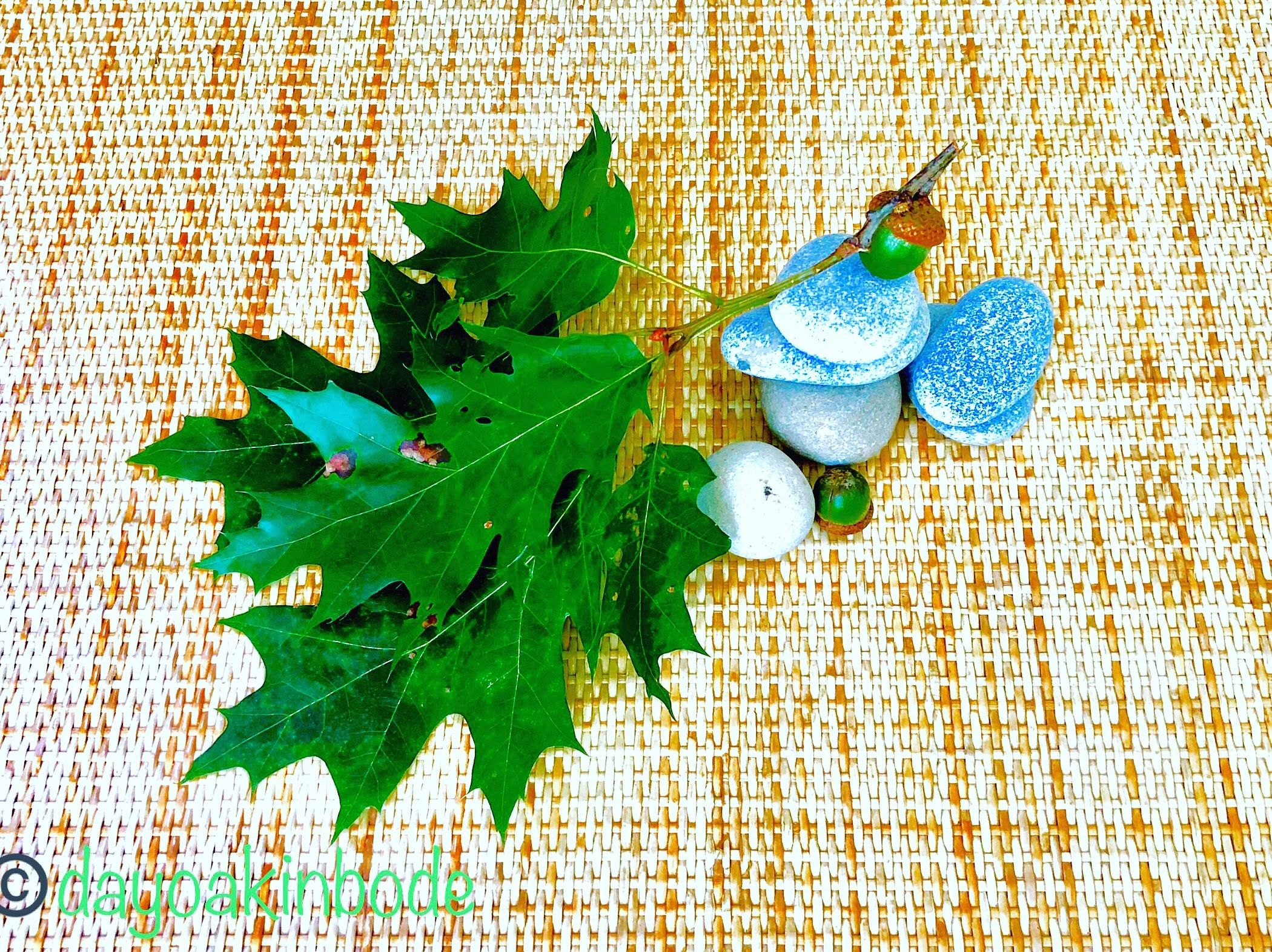 //img1.wsimg.com/isteam/ip/86bc5408-16f6-422d-90e0-703577e4c78d/fcfac55d-832a-4dda-98ea-26a4b708e805.jpeg/:/cr=t:0%25,l:0%25,w:100%25,h:100%25/rs=w:1300,h:800