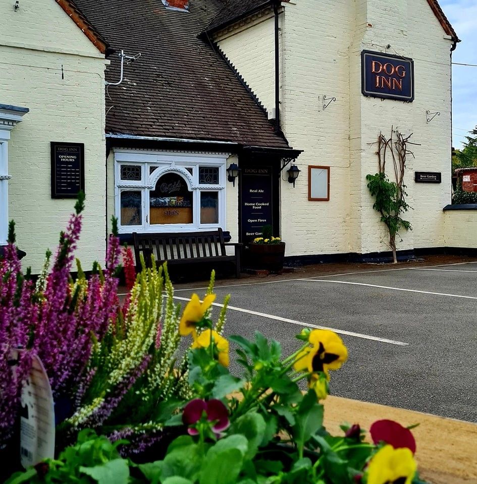 Dog Inn