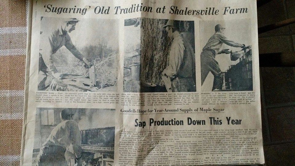 //img1.wsimg.com/isteam/ip/86c072da-8877-4ffa-803f-cfab7ce1d2ba/2646fbfd-7ee2-4bab-be45-77ae4ee391c6.jpg/:/cr=t:0%25,l:0%25,w:100%25,h:100%25/rs=w:1300,h:800