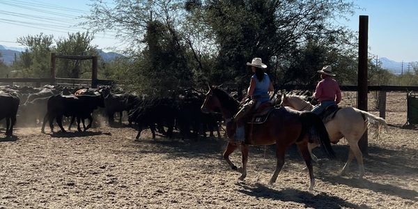 Working via horseback