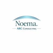  Noema Audit Risk Compliance