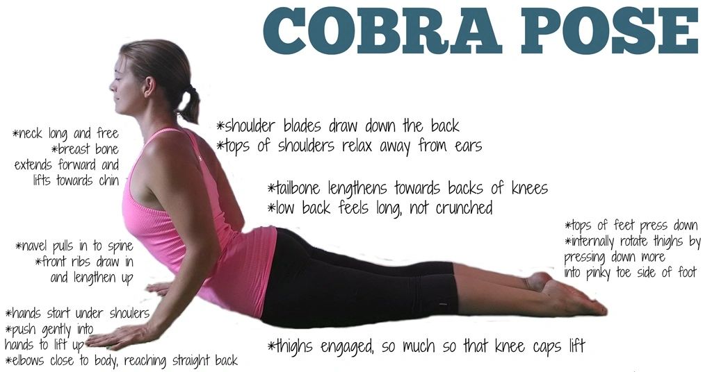 Cobra and Upward Facing Dog