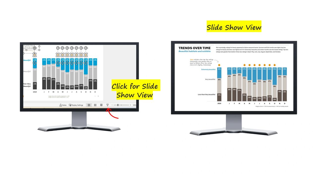 Click on Slide Show icon to show report in full screen